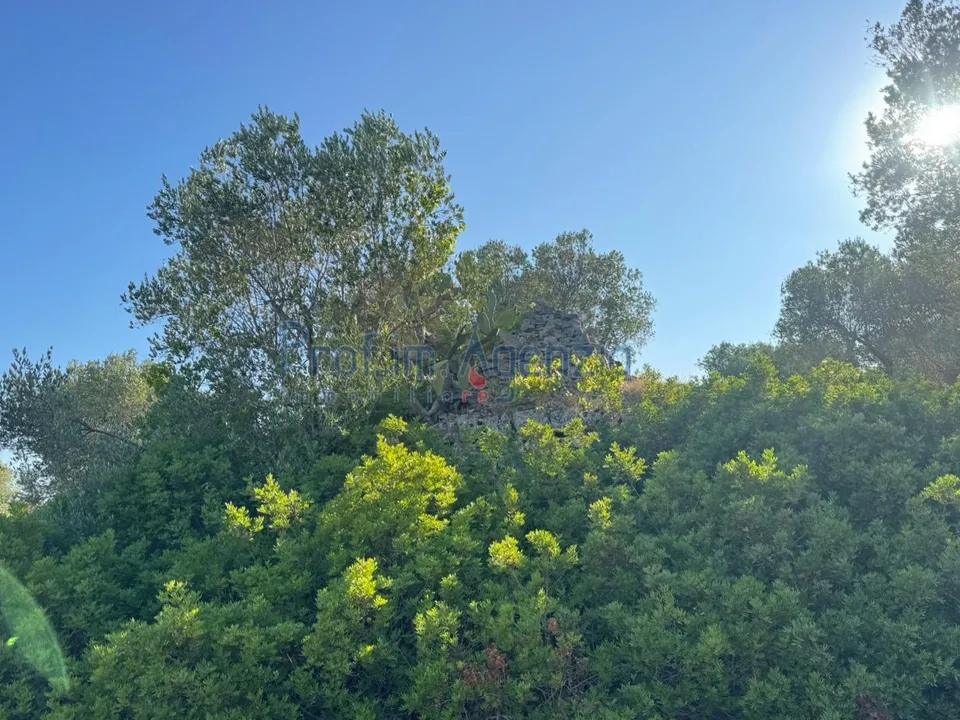 Helårsgrund i Carovigno, Brindisi - foto 2